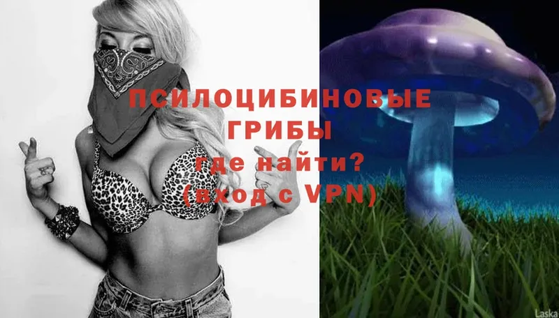 Галлюциногенные грибы Magic Shrooms  купить наркоту  Орлов 